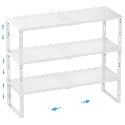 Expandable Spice Rack