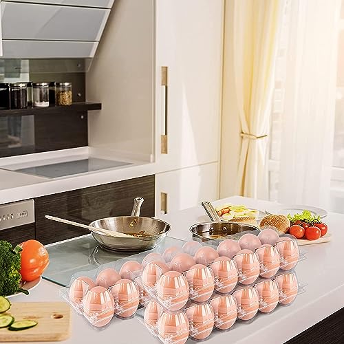 60 Pack Egg Cartons Cheap Bulk
