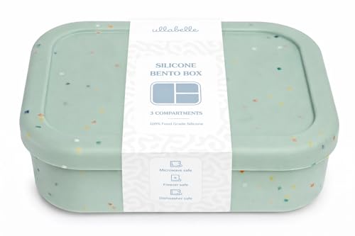 Silicone Bento Lunch Box for Kids
