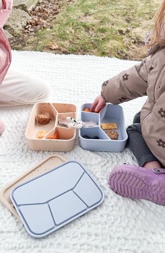 Silicone Bento Box