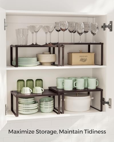 Spice Racks Metal Cabinet Shelf Organizers