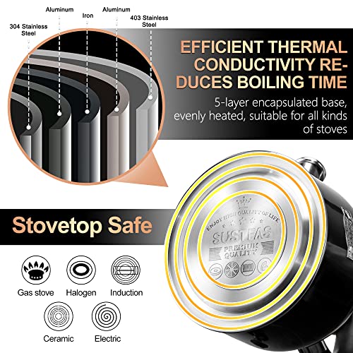 Stove Top Whistling Tea Kettle
