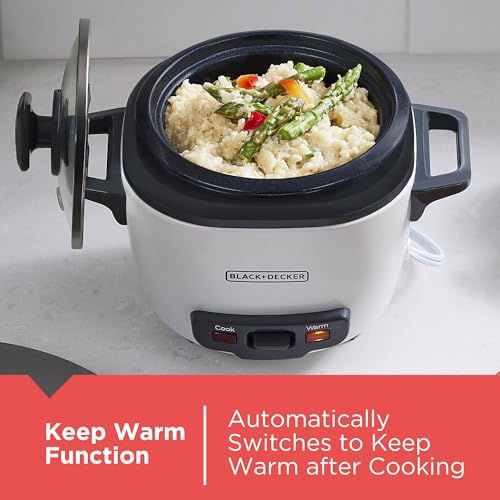 RC503 Dry/3-Cup Cooked Rice Cooker