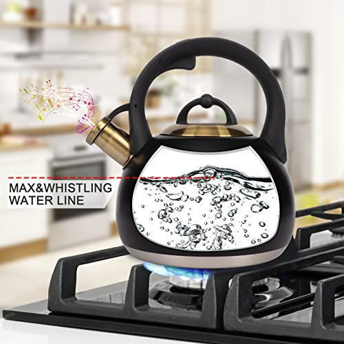 3.1 Quart Teal Whistling Tea Kettle for Stove Top