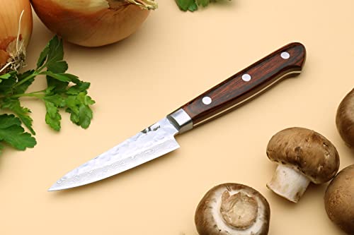 VG10 16 Layer Hammered Damascus Stainless Steel Knife
