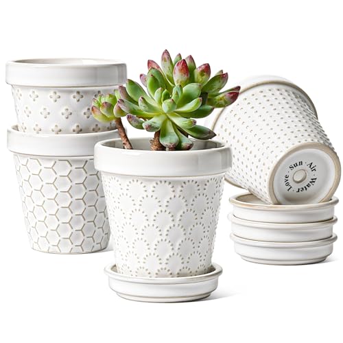 Ceramic Succulent Pots