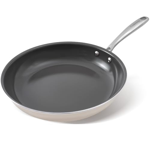 Skillet Ceramic Nonstick Frying Pans (11in / Ash Grey)