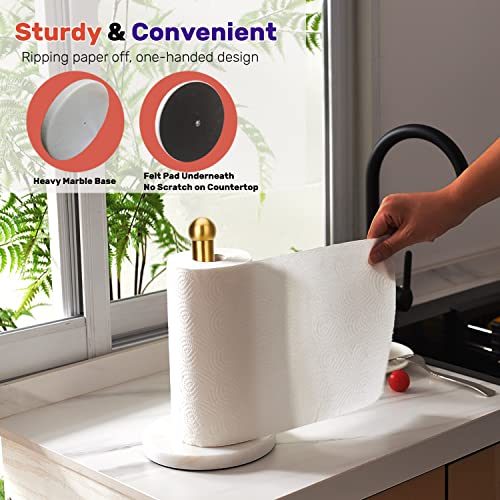 Heavy Weighted Paper Towel Holder
