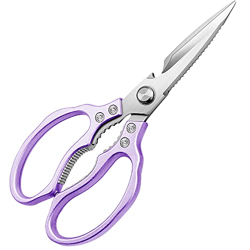 Kitchen All Purpose Scissors