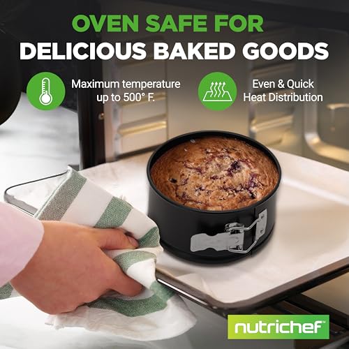 Nonstick Cheesecake Springform Cake Pan Stainless Steel Clasps