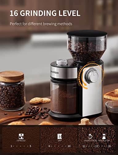 Electric Burr Coffee Grinder 2.0 (Silver)