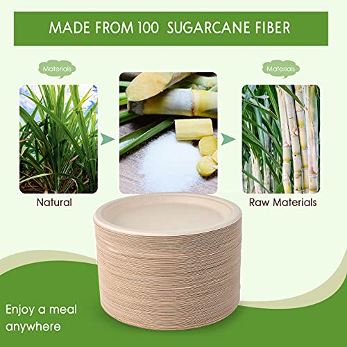 Compostable Disposable Paper Plates
