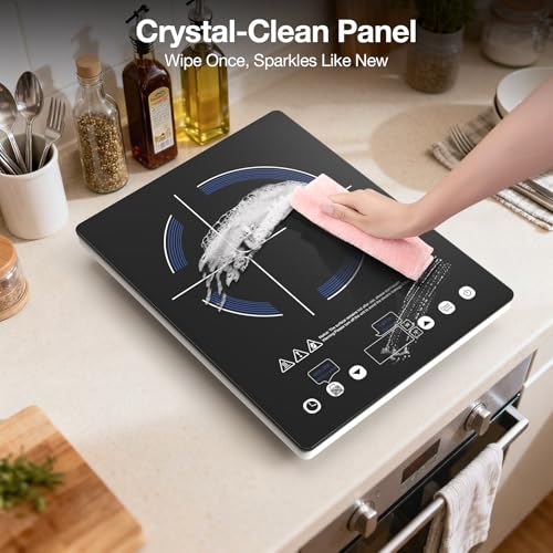 Portable Induction Cooktop 110v