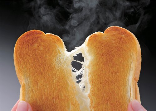 TWINBIRD toaster oven
