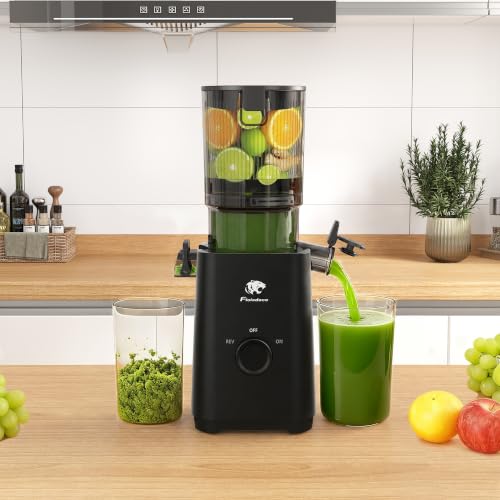 Cold Press Juicer