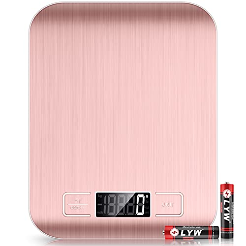 Food Scale 22lb