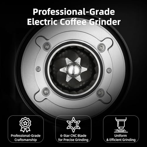Electric Burr Coffee Grinder
