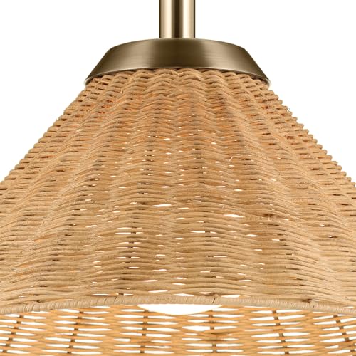 Bekah 1 Light Convertible Pendant