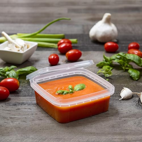 20 Pack Square Clear Deli Containers with Lids Disposable BPA Free Square Plastic Food Storage Containers with Lids Airtight for Meal Prep Take Out Kitchen