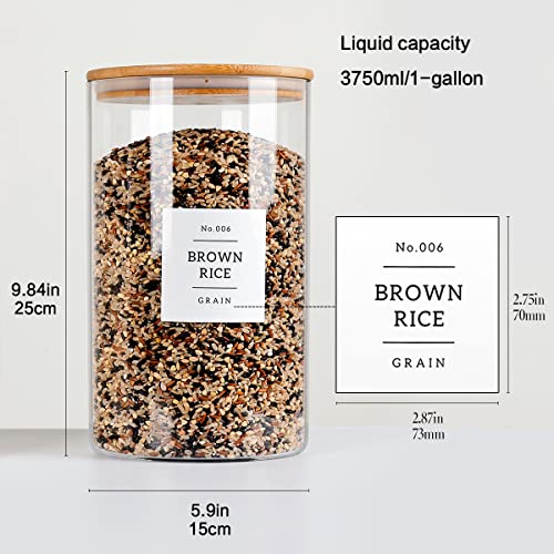 square 150 glass jars