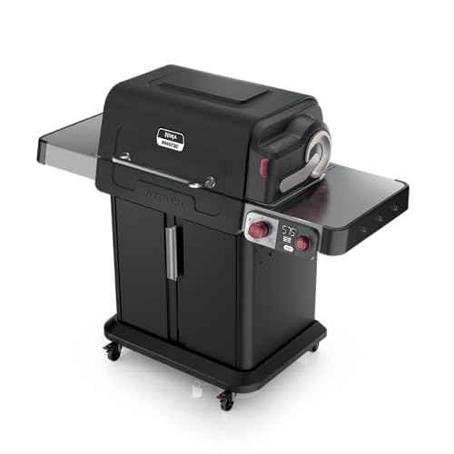 FlexFlame Grill and Smoker