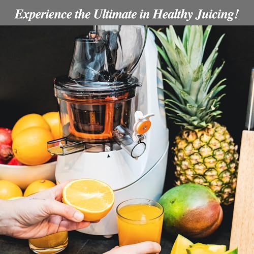 HF 3014 Slow Masticating Juicer