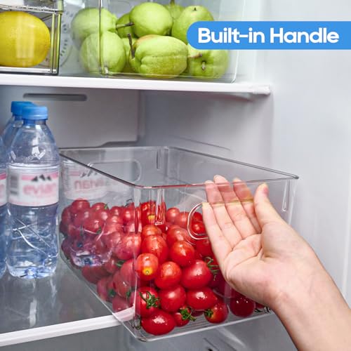 Clear Plastic Storage Bins