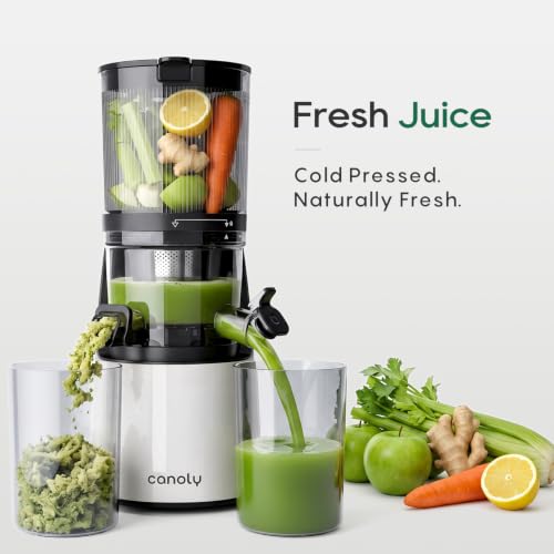 C16 Cold Press Juicer