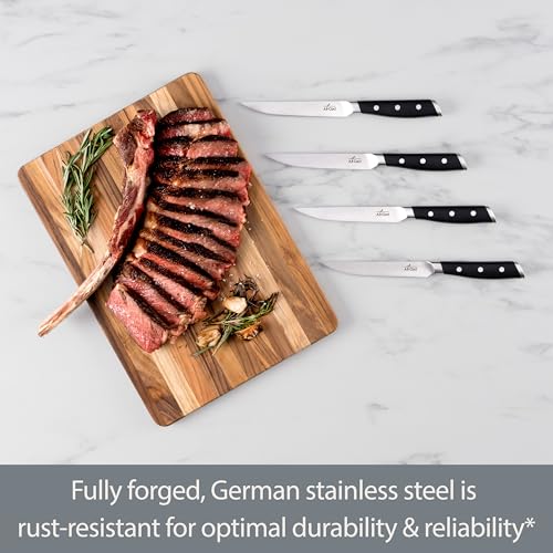 Forged German Stainless Steel Steak Knife Set (Silver/Black / 4-Piece Knife Set)