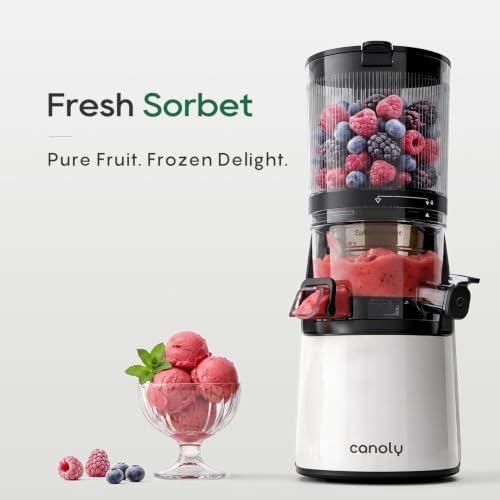C16 Cold Press Juicer