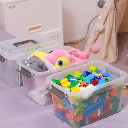 Storage Bins with Lids