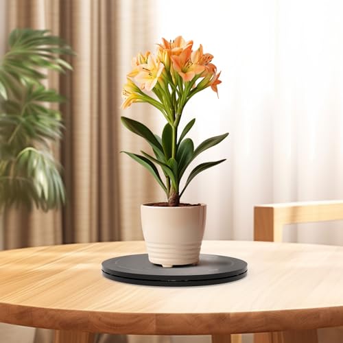 Lazy Susan Turntable Organizer for Cabinet Pantry Kitchen Countertop Refrigerator Cupboard