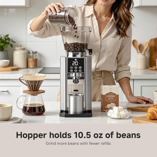 Conical Burr Coffee Grinder (Metallic Silver)