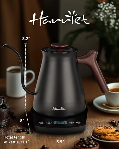 Electric Gooseneck Kettle