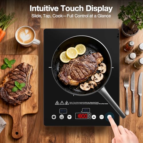 Portable Induction Cooktop 110v