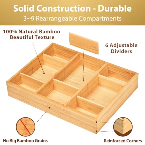 Desk Organizer for Desktop and Drawer