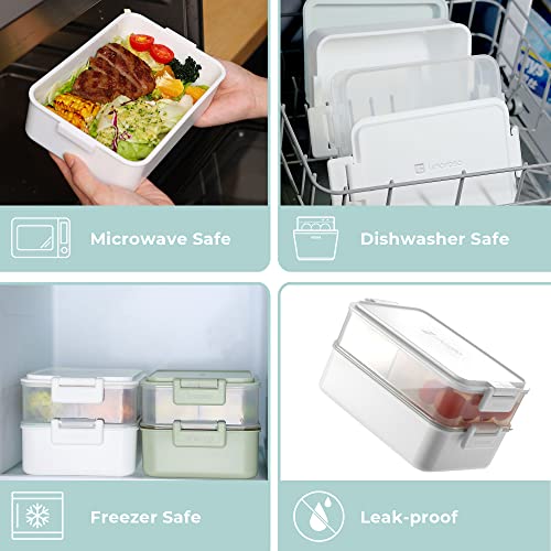 Bento Box Series