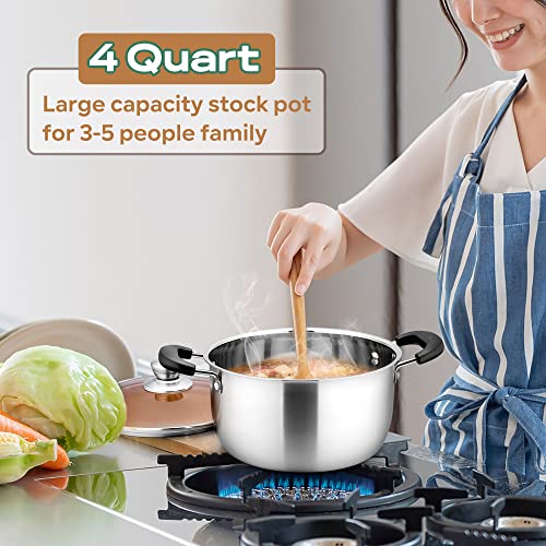 Stainless Steel Stock Pot