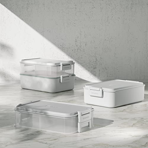 Bento Box Series