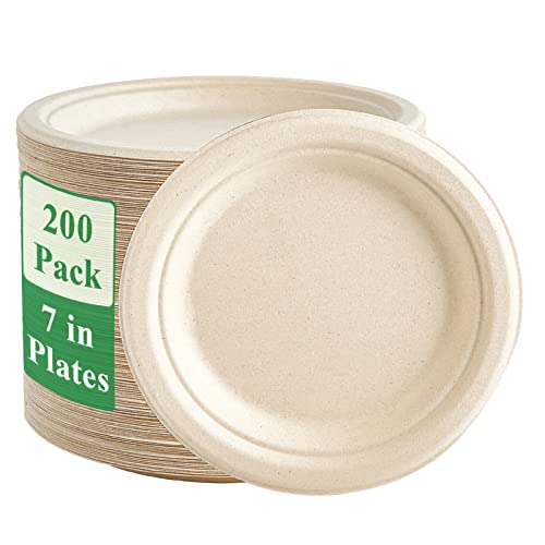 100% Compostable Paper Plates