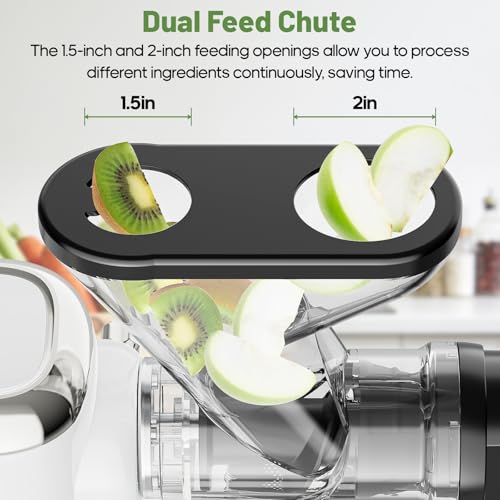 Electric juicer