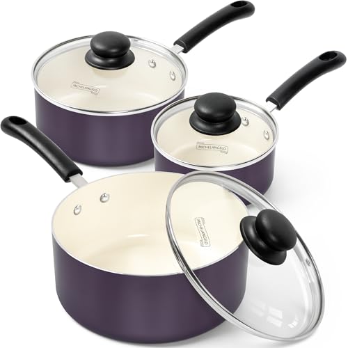 Nonstick Sauce Pan