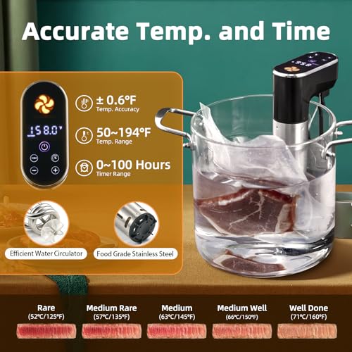 Sous Vide Precision Machine (Matte Black)