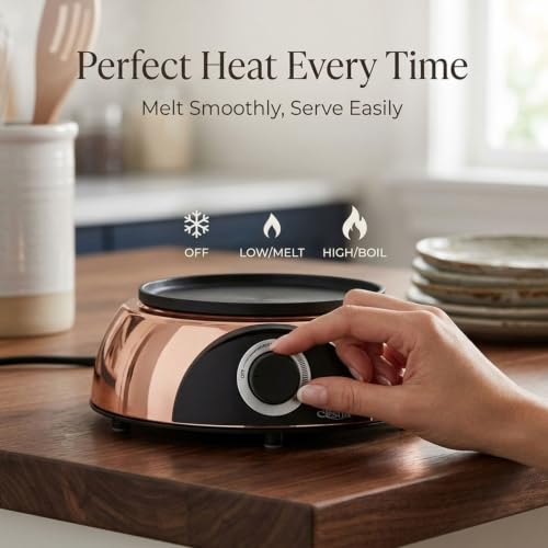 2 QT Electric Fondue Pot for Meat