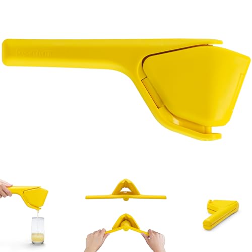 Fluicer Parent