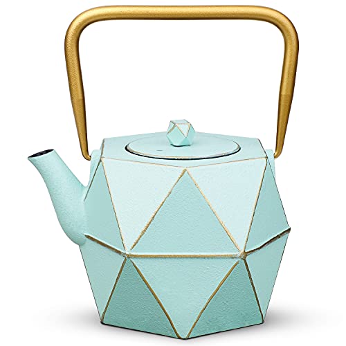 Cast Iron Teapot