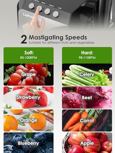 Wheatgrass Juicer Slow Masticating Juicer Machine Cold Press Juicer Extractor Easy To Clean for Vegetables & Fruits
