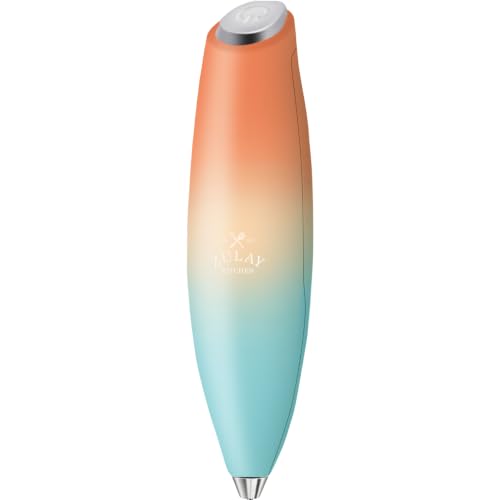 Milk Frother Mini