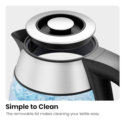 Electric Kettle with Temperature Control