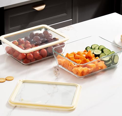 Glass Food Container Set with Glass Lid